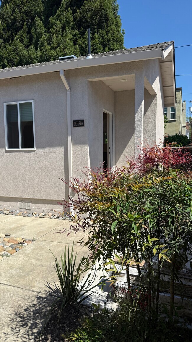 Building Photo - 1019 Castro St