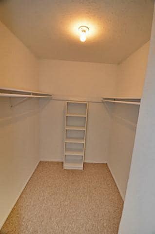 Building Photo - 7619 Pebblestone Dr