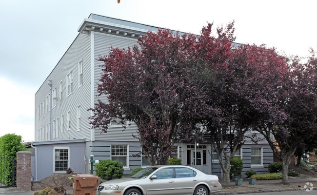 Primary Photo - McCarthy Apartments