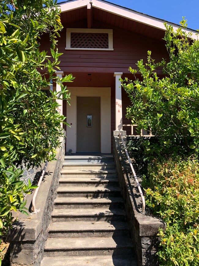Primary Photo - 212 University St