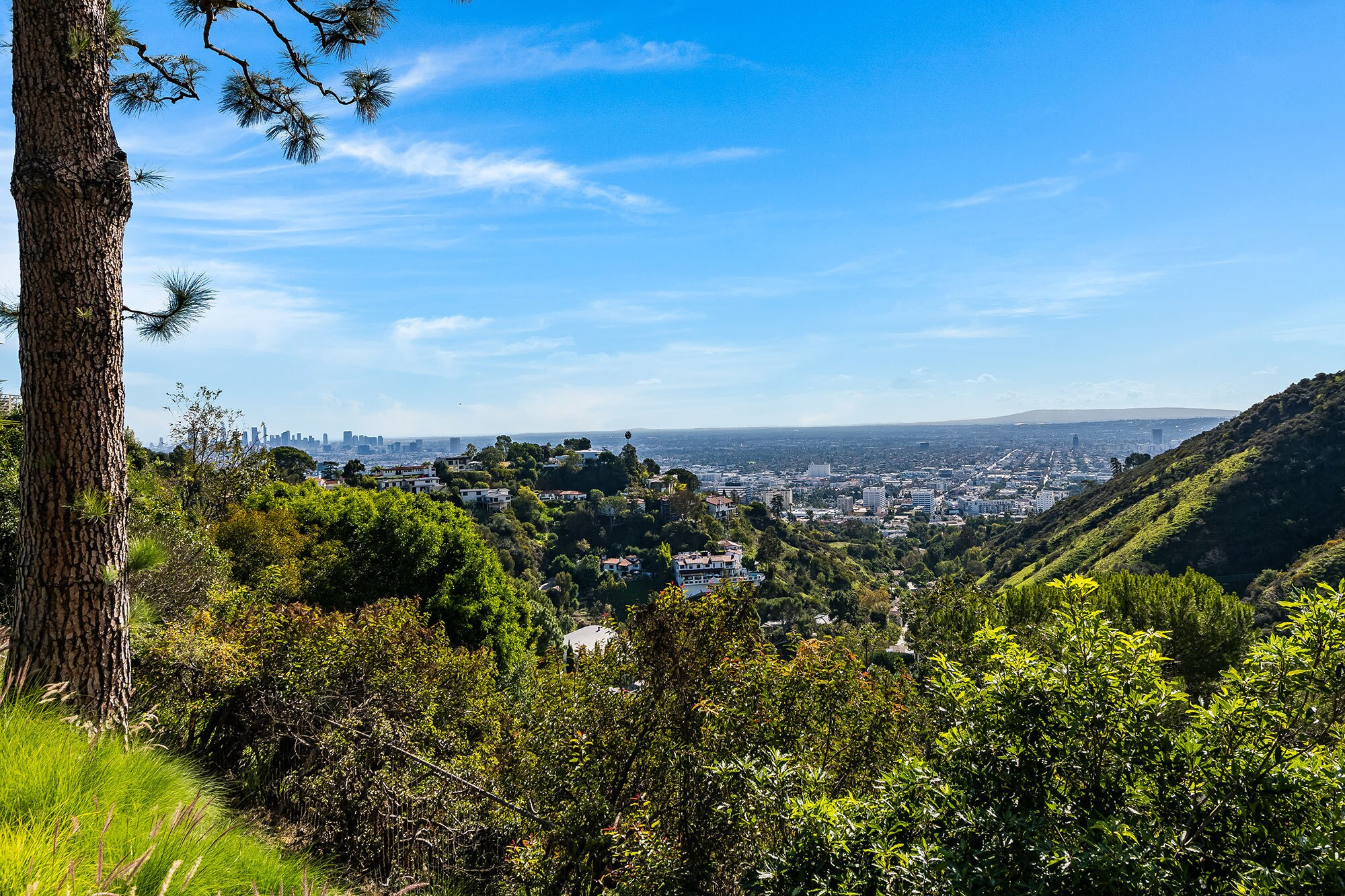 Building Photo - 2431 Carman Crest Dr