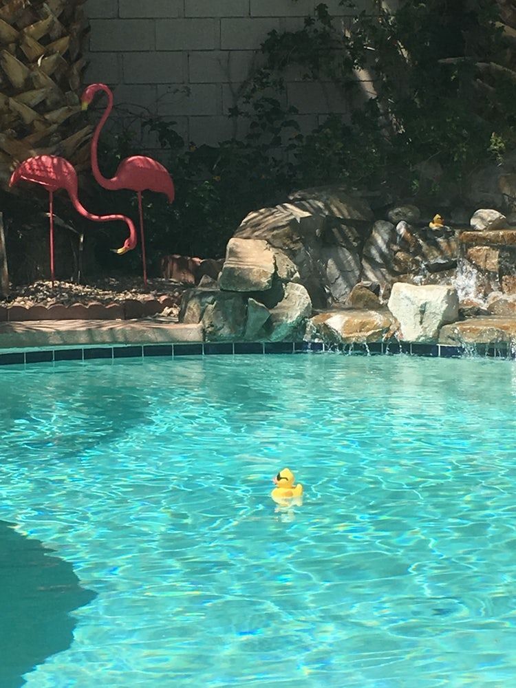 Building Photo - 68820 Risueno Road