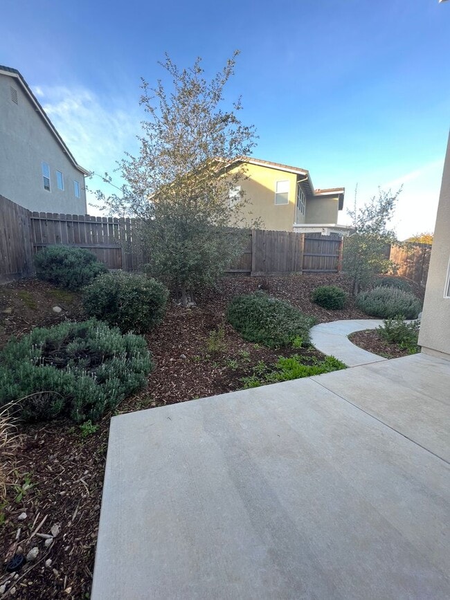 Building Photo - Spacious 4 Bedroom Home with Downstairs Bedroom and Upstairs Loft in Whitney Ranch Rocklin