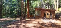 Building Photo - Cabin In the Wood!