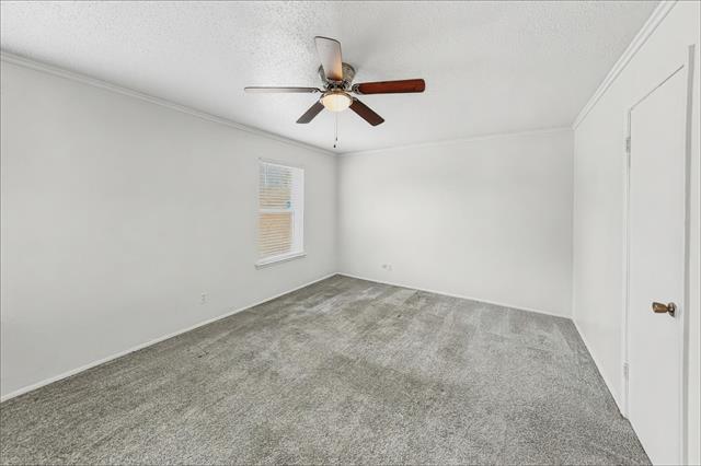 Building Photo - 3862 Wonder Ct