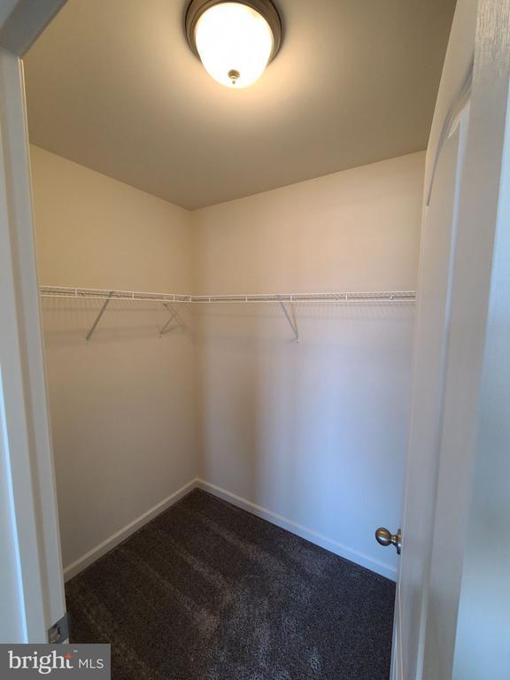 Building Photo - 108 Alderman Wy
