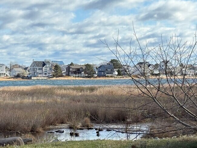 Primary Photo - 7 Nancy St