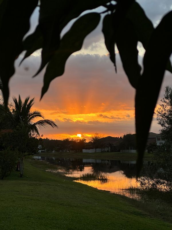 Building Photo - 2165 Newport Isles Blvd