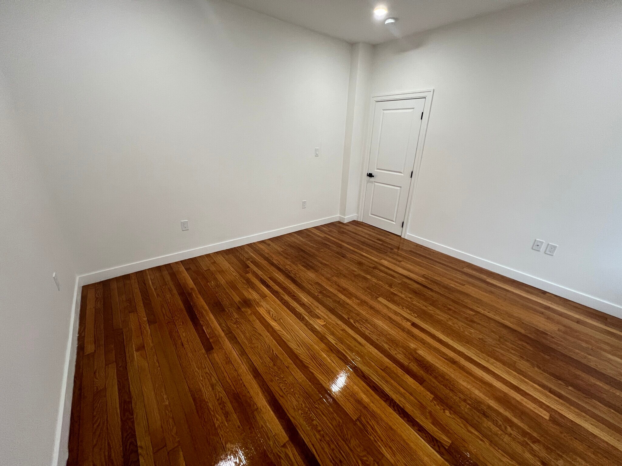 Building Photo - 82 Albertina St