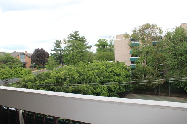 Primary Photo - 6145 Leesburg Pike