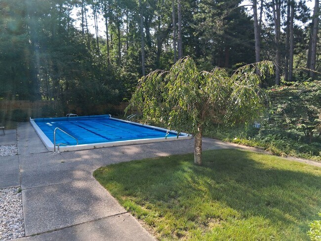 Building Photo - Beautiful 3-Bedroom Home with Pool on Lakeshore Drive