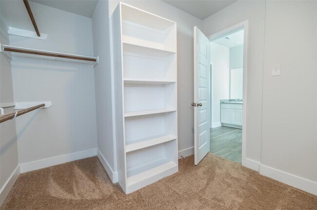Building Photo - 4417 Ibiza Ln