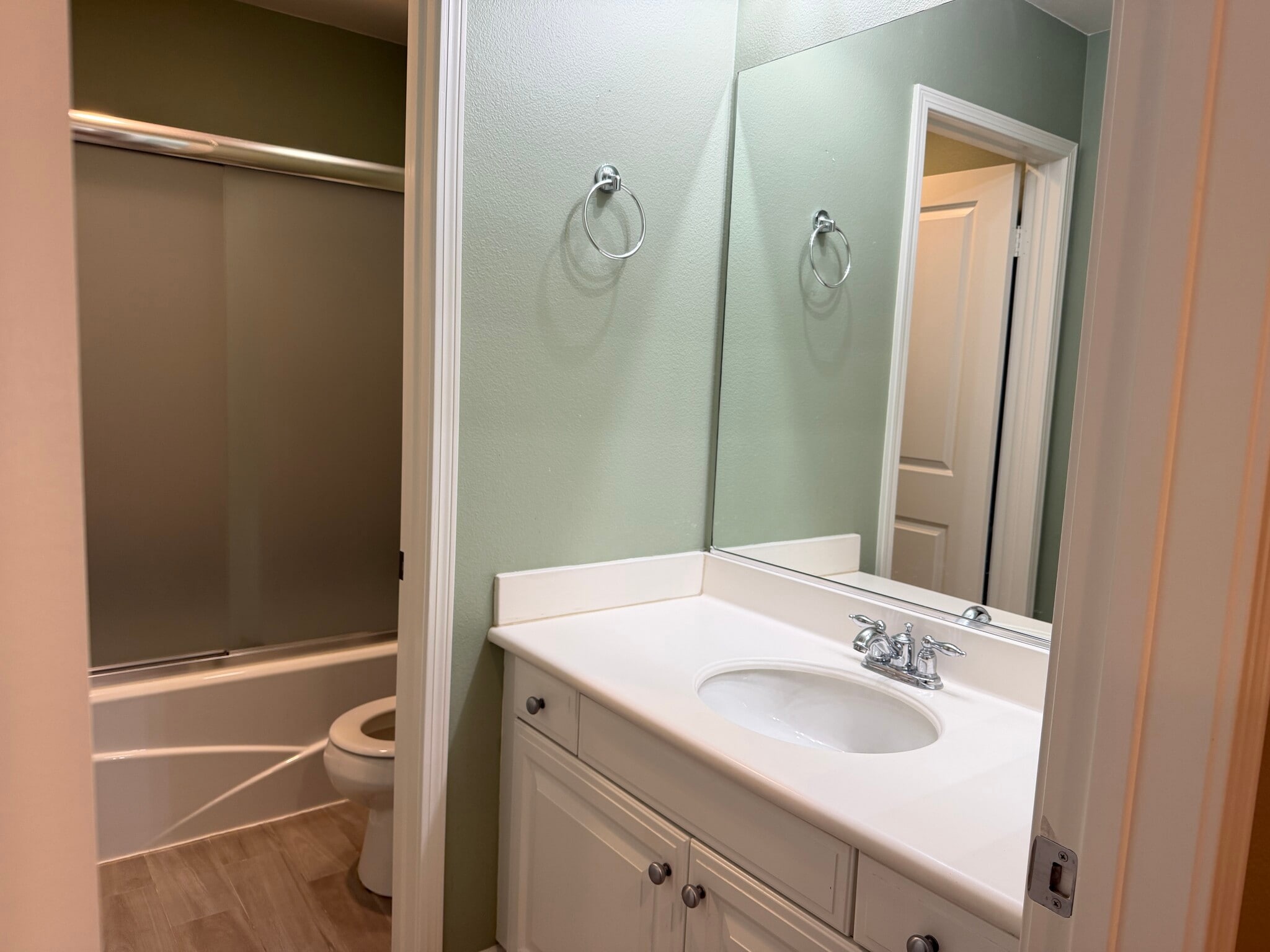 Guest bathroom - 28377 Mirabelle Ln