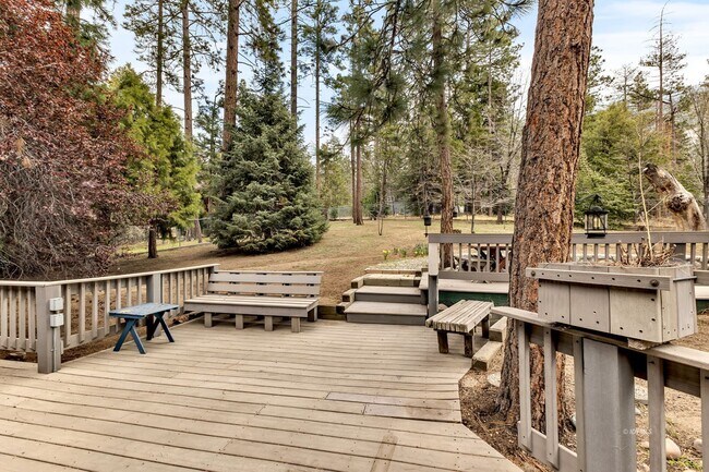 Building Photo - Mountain Lodge Home 1 Mile Away from the C...