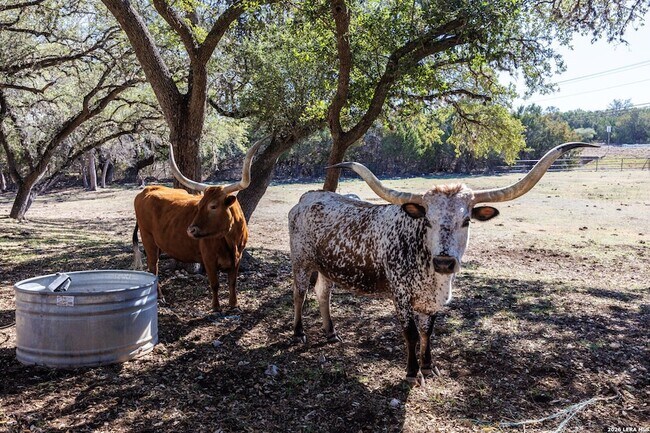 Building Photo - 118 Buffalo Springs Crossing