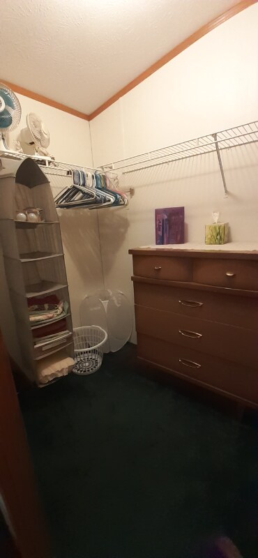 Building Photo - 236 Carrie Ln