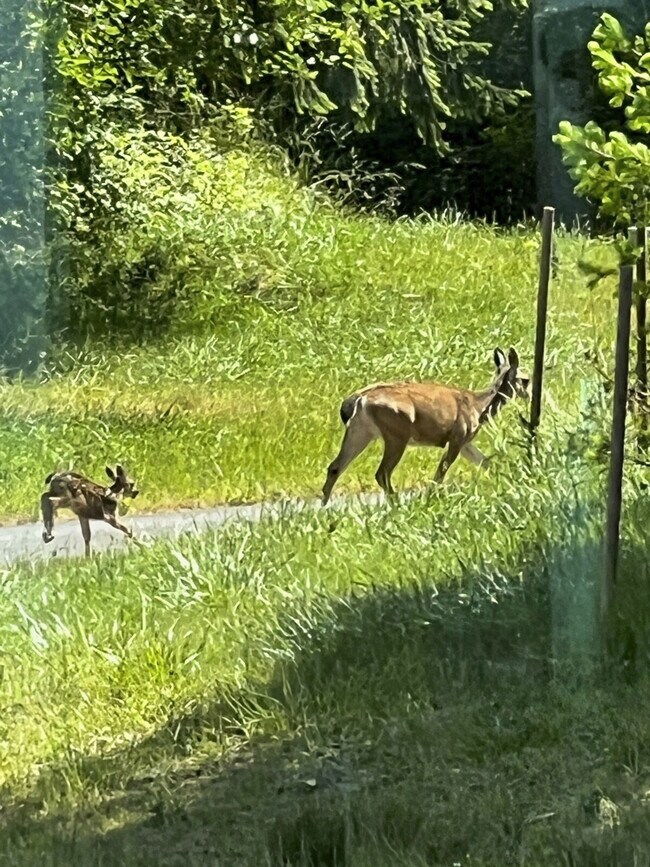 Building Photo - 3355 Saratoga Rd