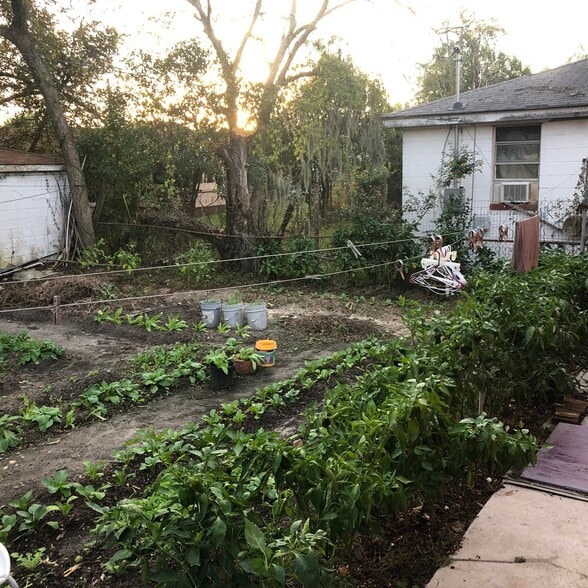 Building Photo - 1109 W 41st St