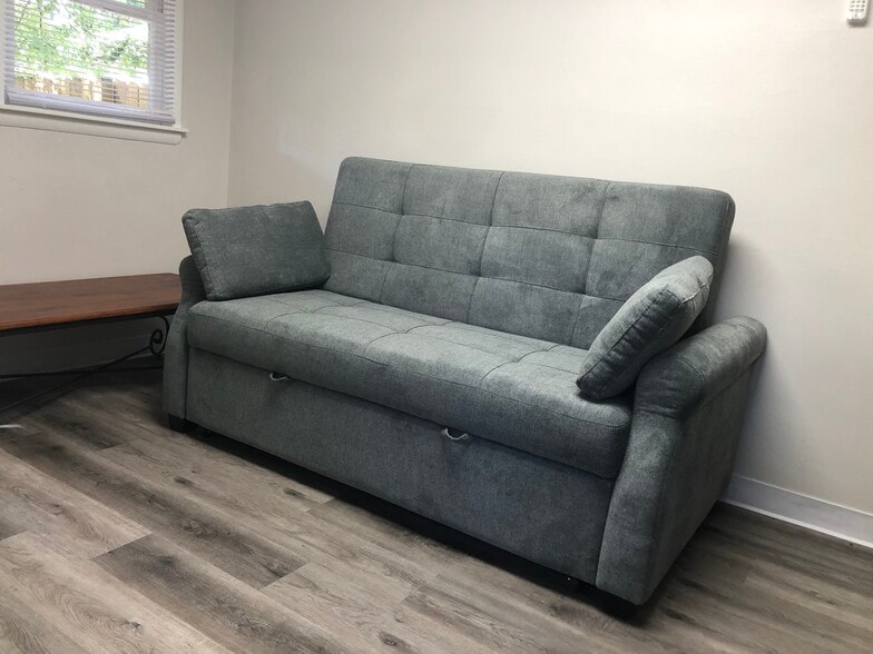Queen sleeper sofa - 1003 E Hunter Ave