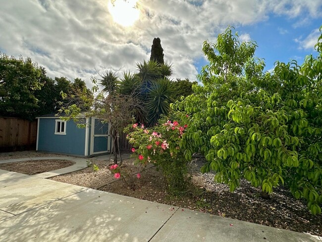Building Photo - 34134 Auden Ct