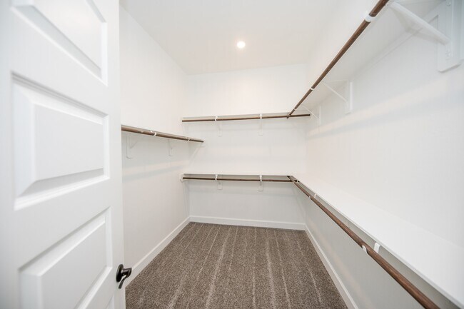 Building Photo - 21515 Blue Porterweed Trl