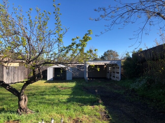Building Photo - 12115 Dry Creek Rd
