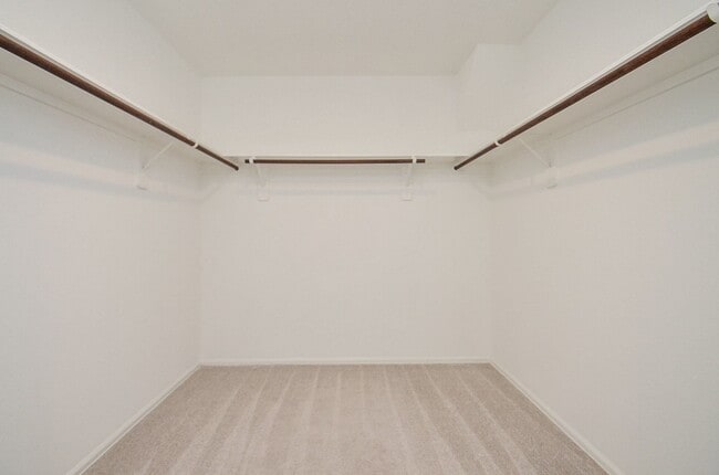 Building Photo - 305 Riverwood Village Ln