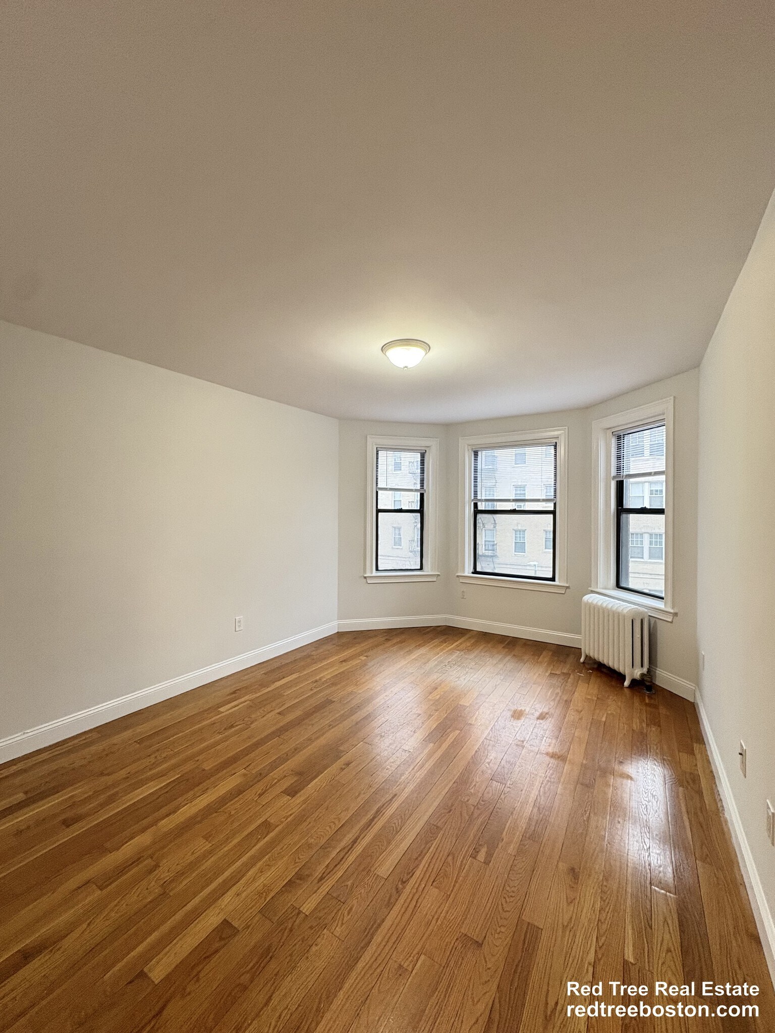 Building Photo - 11 Peterborough St