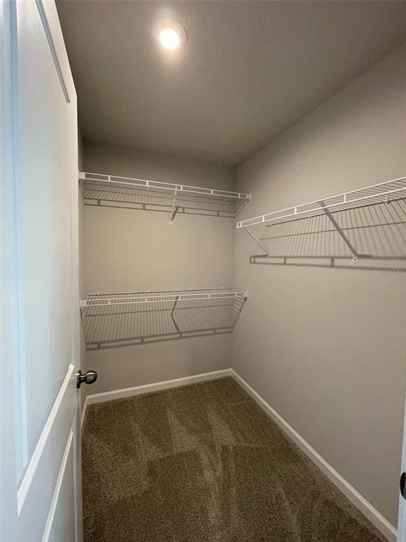 Building Photo - 2423 Arbor Wind Dr
