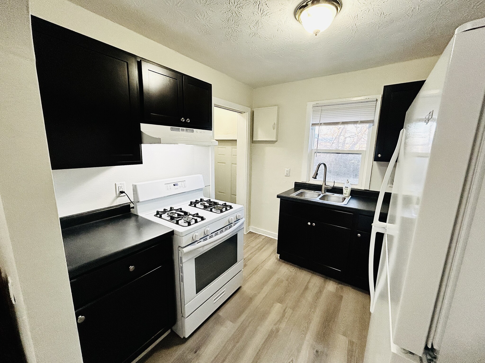 Newly remodeled kitchen - 715 Koogler St