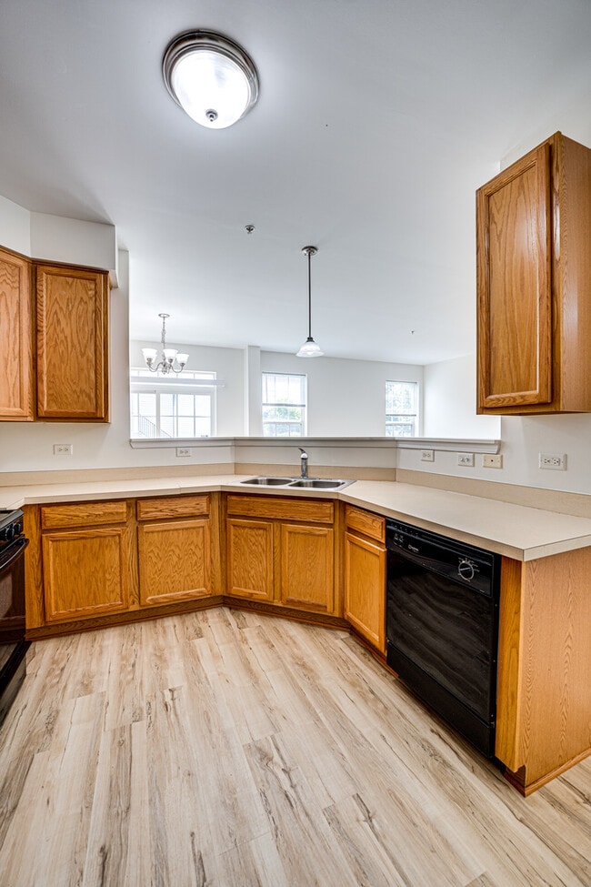 Building Photo - 3962 Evans Ct