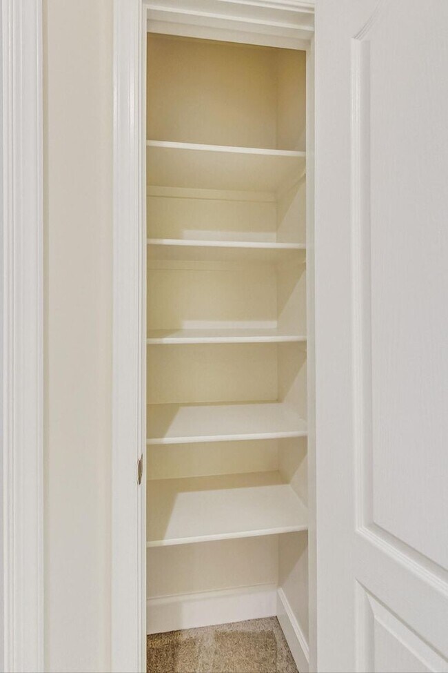 Building Photo - Cool on Cool Spring! Large SF 4 Bed + 2.5 BA