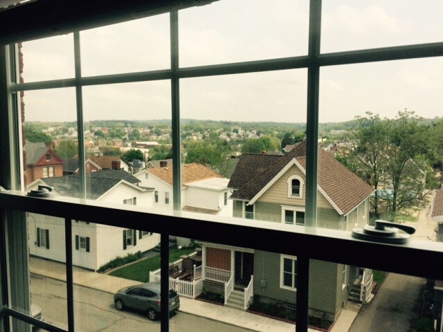 View From Livingroom - 409 Rohrer St