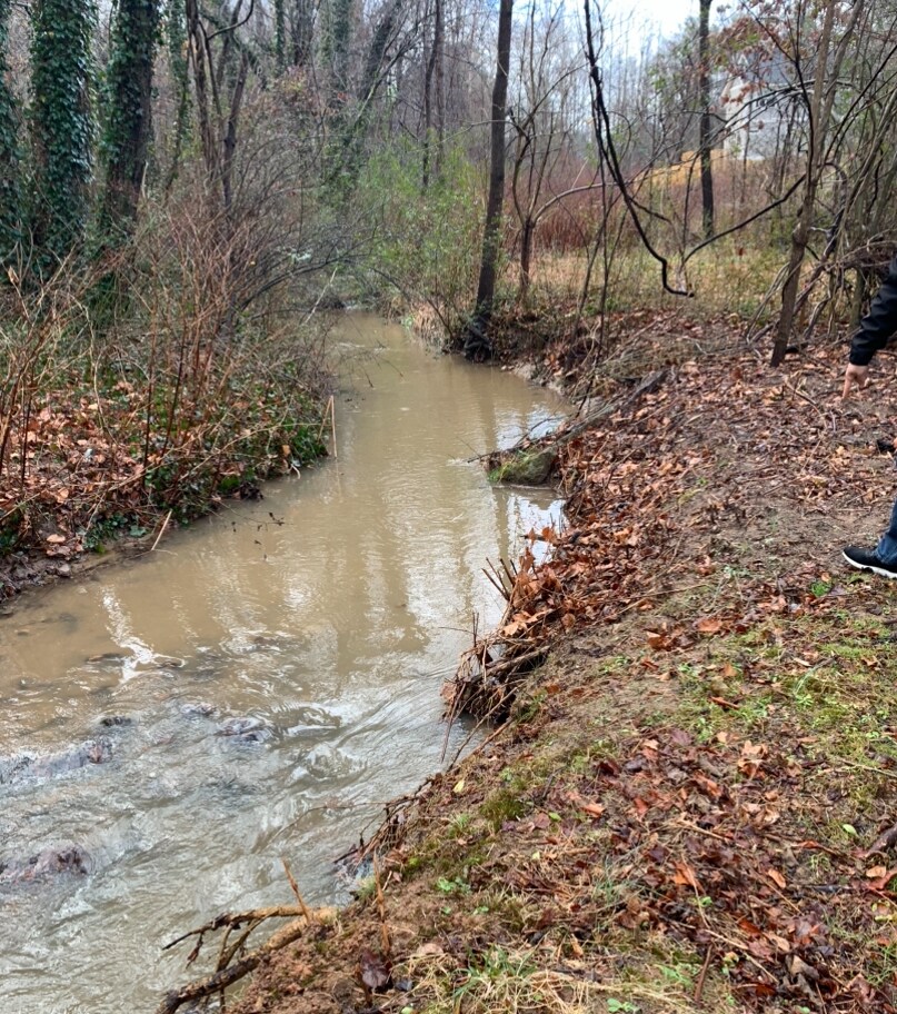 Building Photo - 62 Debra Ln