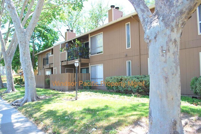 Building Photo - Updated, Bright, Spacious & Clean! Excellent Location at The Vintner in San Ramon
