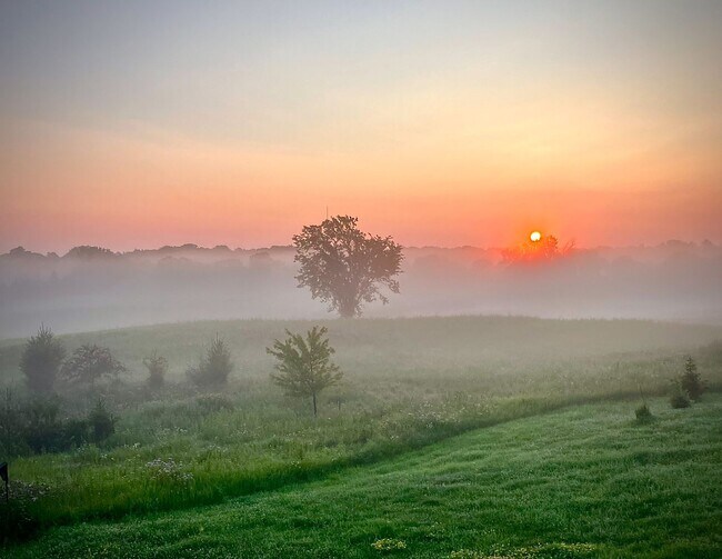 Building Photo - 220 Meadow Woods Dr