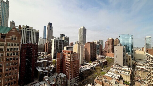 Building Photo - 1150 N Lake Shore Dr