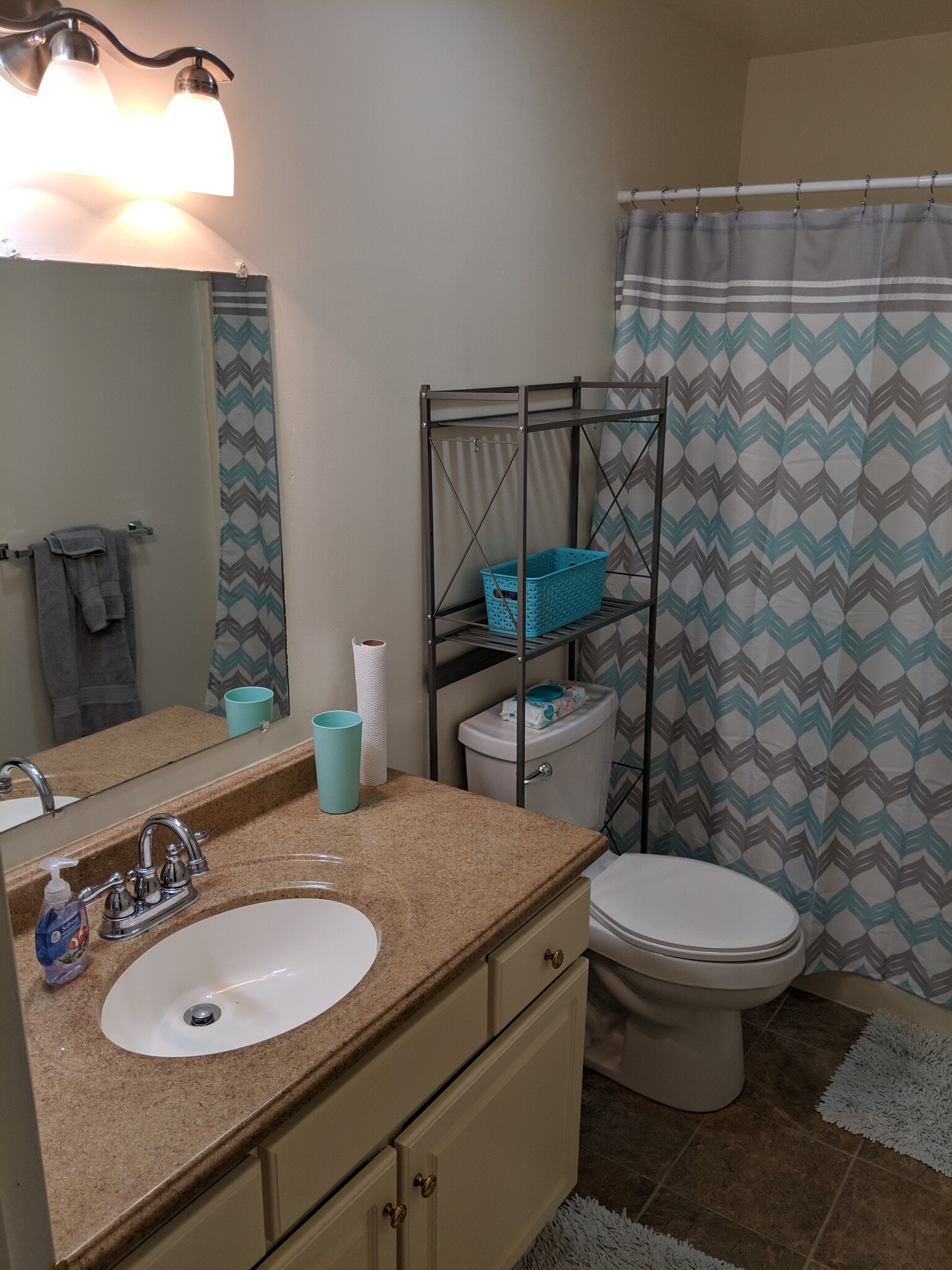 Upstairs bath 1 - 143 Clover Valley Cir