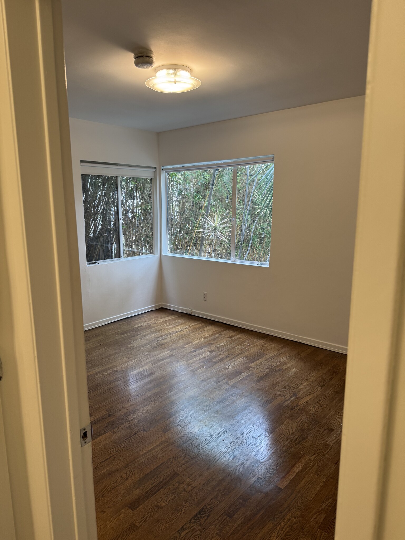 Building Photo - 809 N Las Palmas Ave