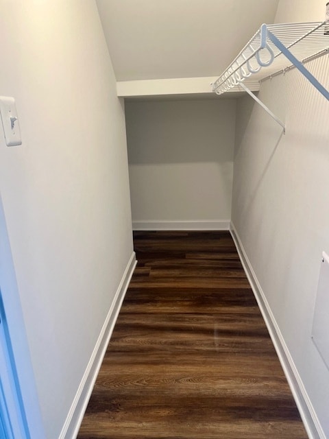Building Photo - 1615 Palomino Trl