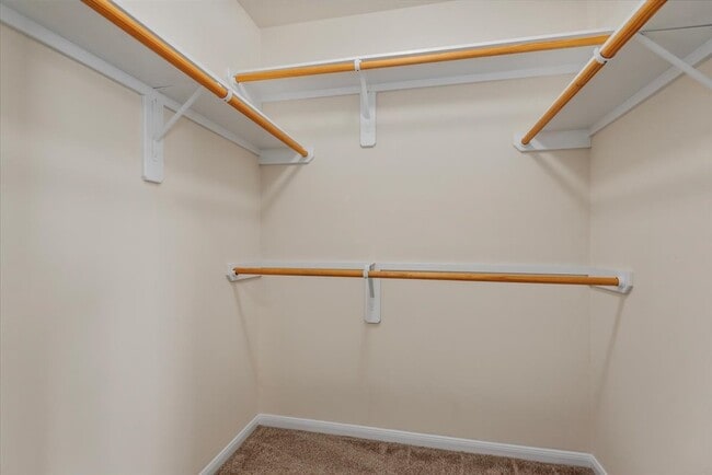 Building Photo - 2742 Windy Thicket Ln