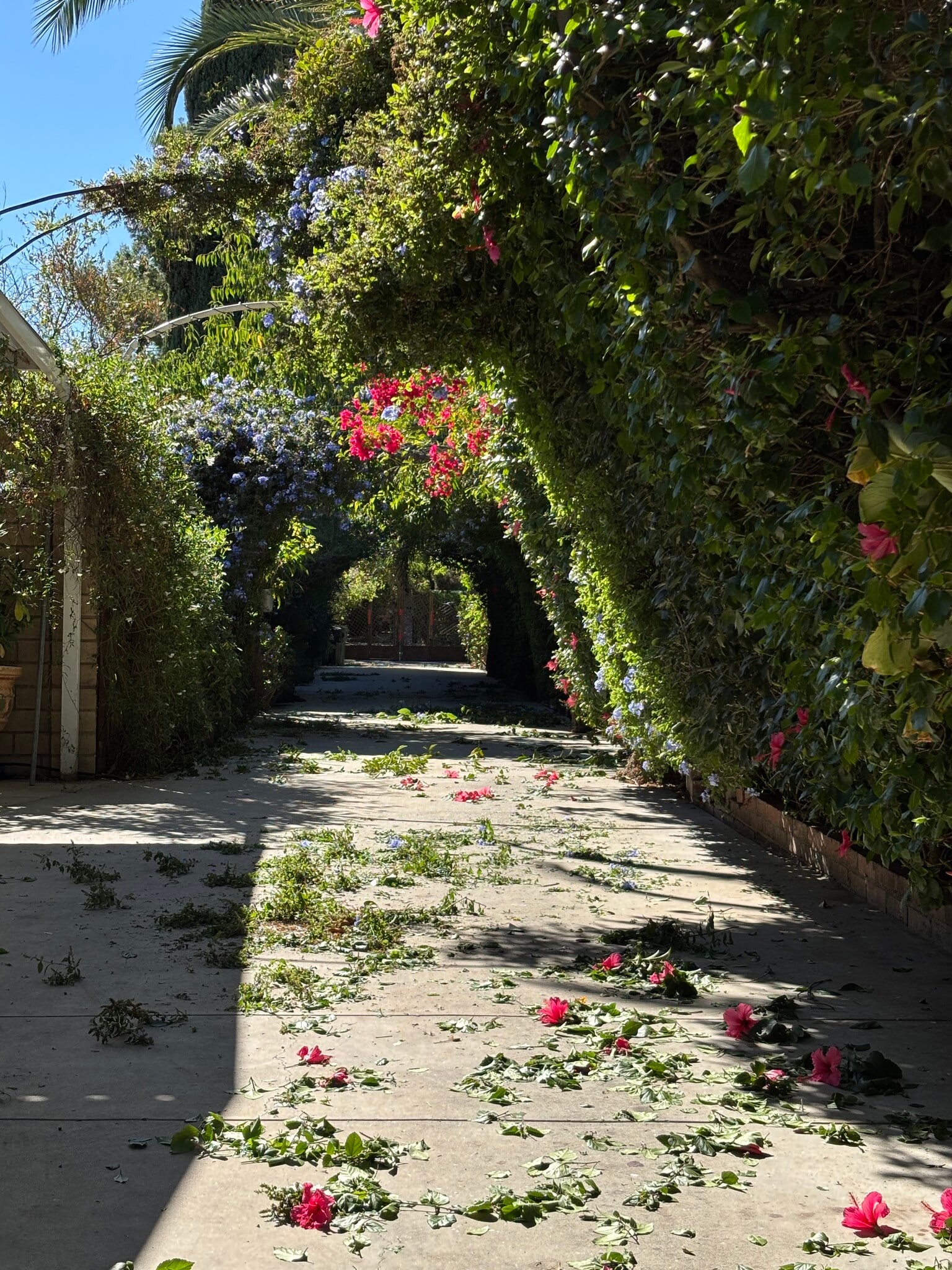 Building Photo - 12646 Ralston Ave