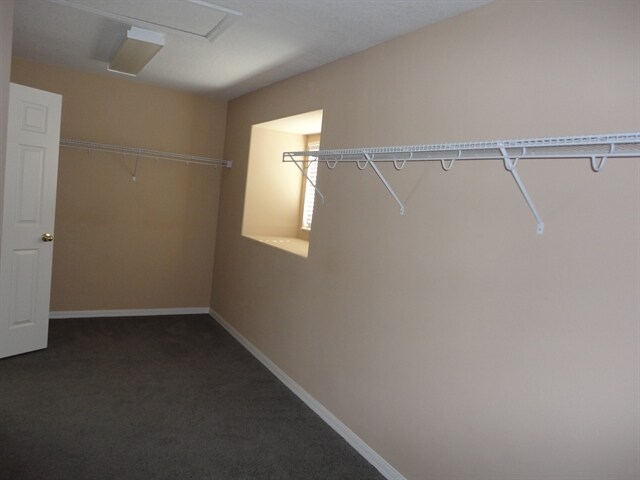 Building Photo - 5331 Sandy Shell Dr