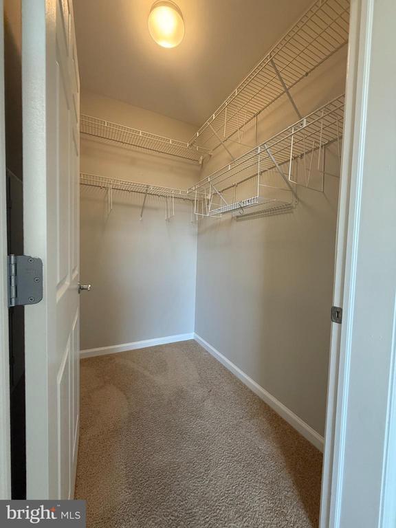 Building Photo - 1136 Halifax Pl