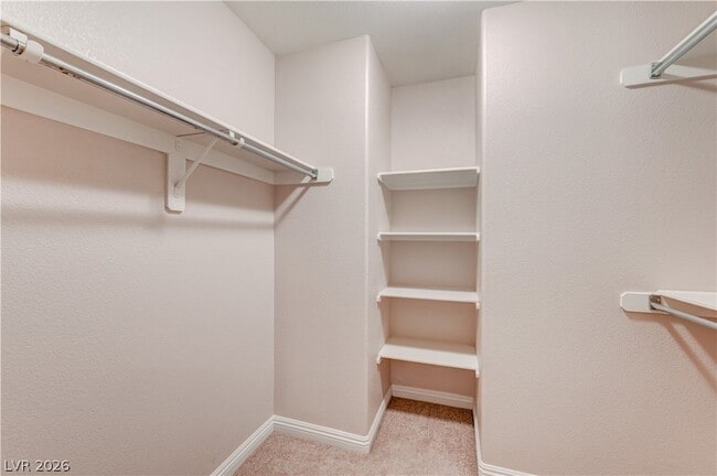 Building Photo - 5507 Big Red Ct