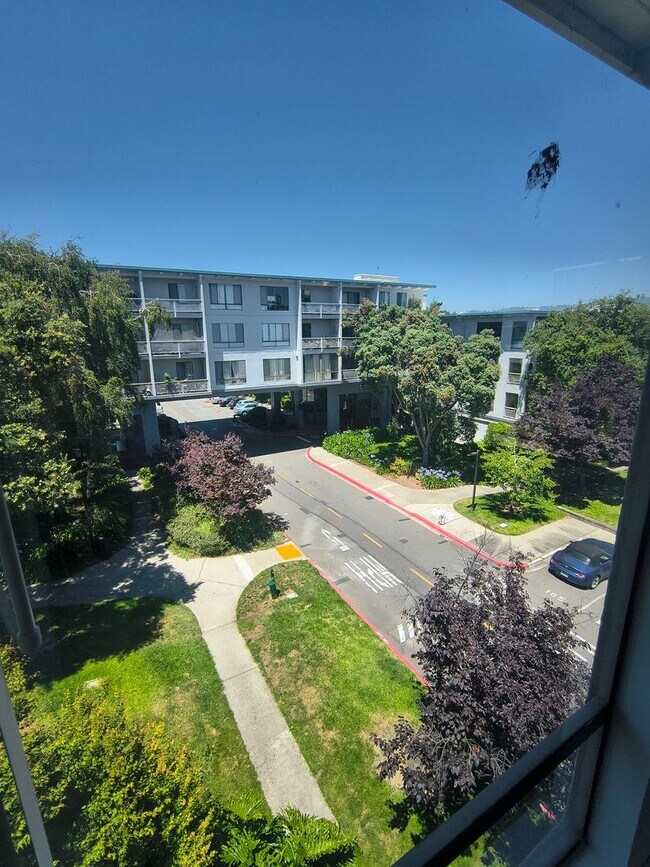 Building Photo - TOP FLOOR 1BD/1BATH Condo Available For Rent at the Watergate Community in Emeryville!!!!