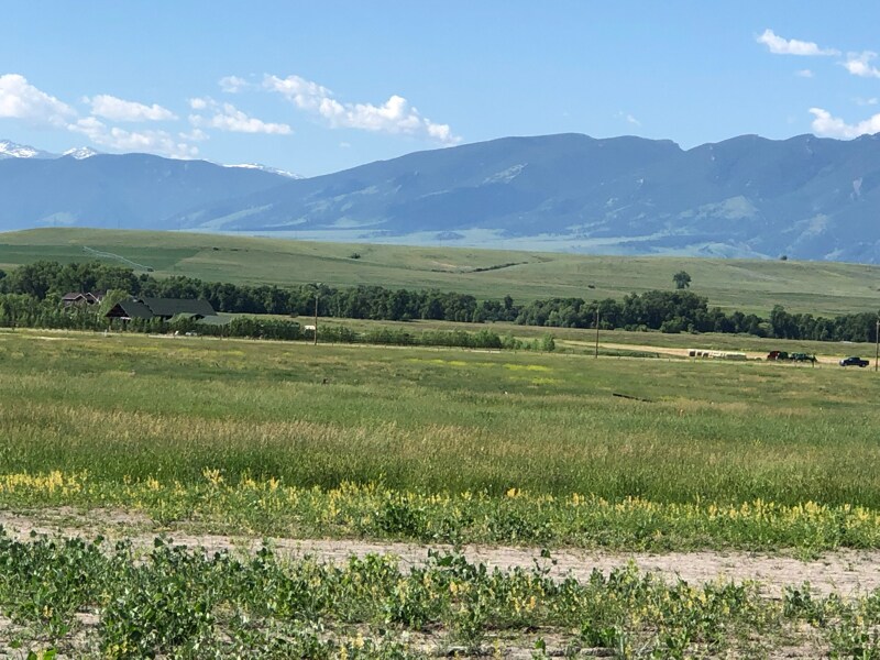 Building Photo - 42 Prairie Ln