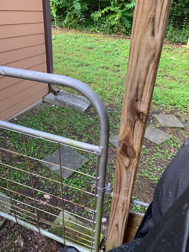 Building Photo - 247 Lakeview Ln