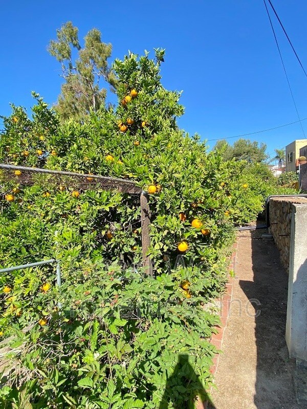 Building Photo - 4372 Argos Dr