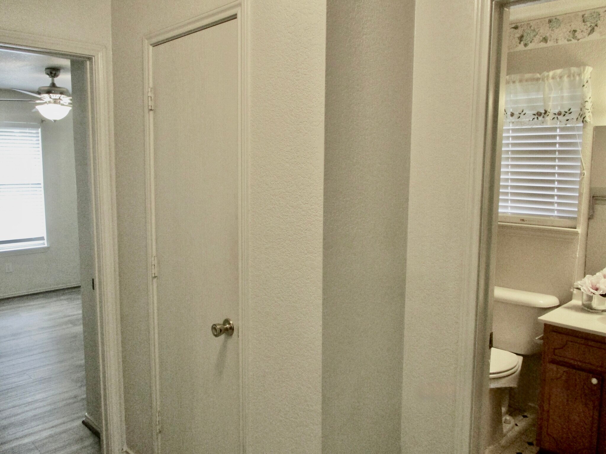 Building Photo - 165 Armadillo Ln